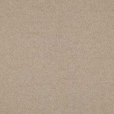TISSUS BOUCLETTE SABLE