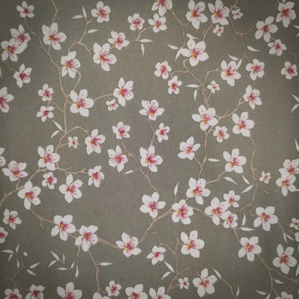 TISSUS ENDUIT IMPRIME AMANDIER SAUGE