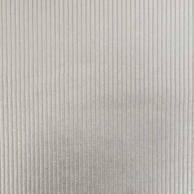 TISSUS VELOURS CÔTELÉ HUGGY ARGENT