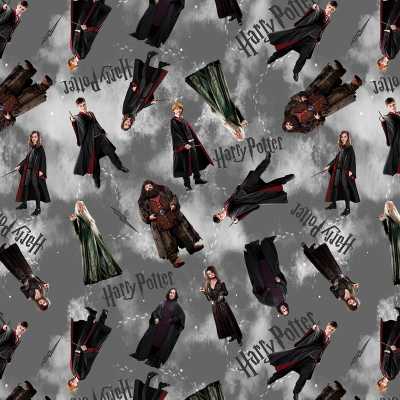 TISSU HARRY POTTER GRIS PERSONNAGES
