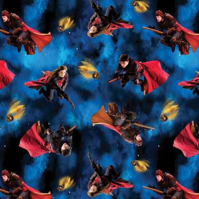 TISSU HARRY POTTER QUIDDITCH