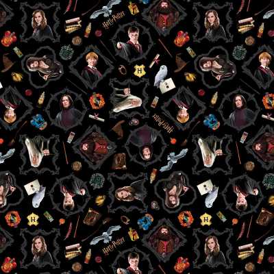 TISSU HARRY POTTER QUIDDITCH