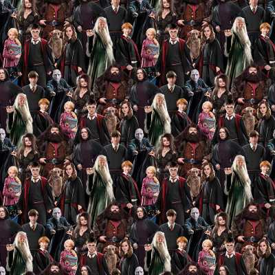 TISSU HARRY POTTER PERSONNAGES