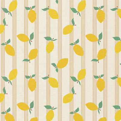 TISSUS ENDUIT IMPRIME CITRONS